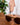 MOANET Sunglasses old fashion - MOANET