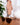 MOANET Sunglasses old fashion - MOANET